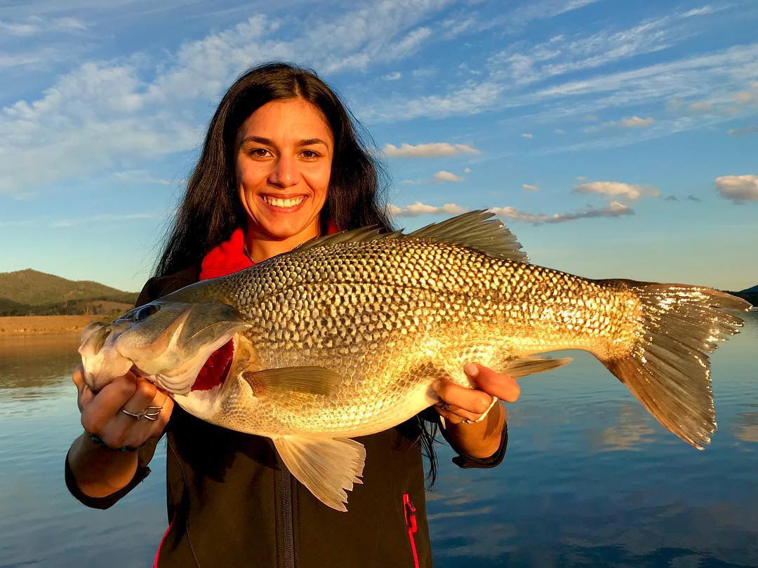 Smak Lures