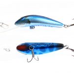 SMAK 19 - 39 - Boondooma Blue
