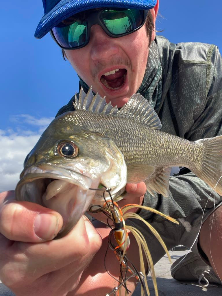 Smak Lures