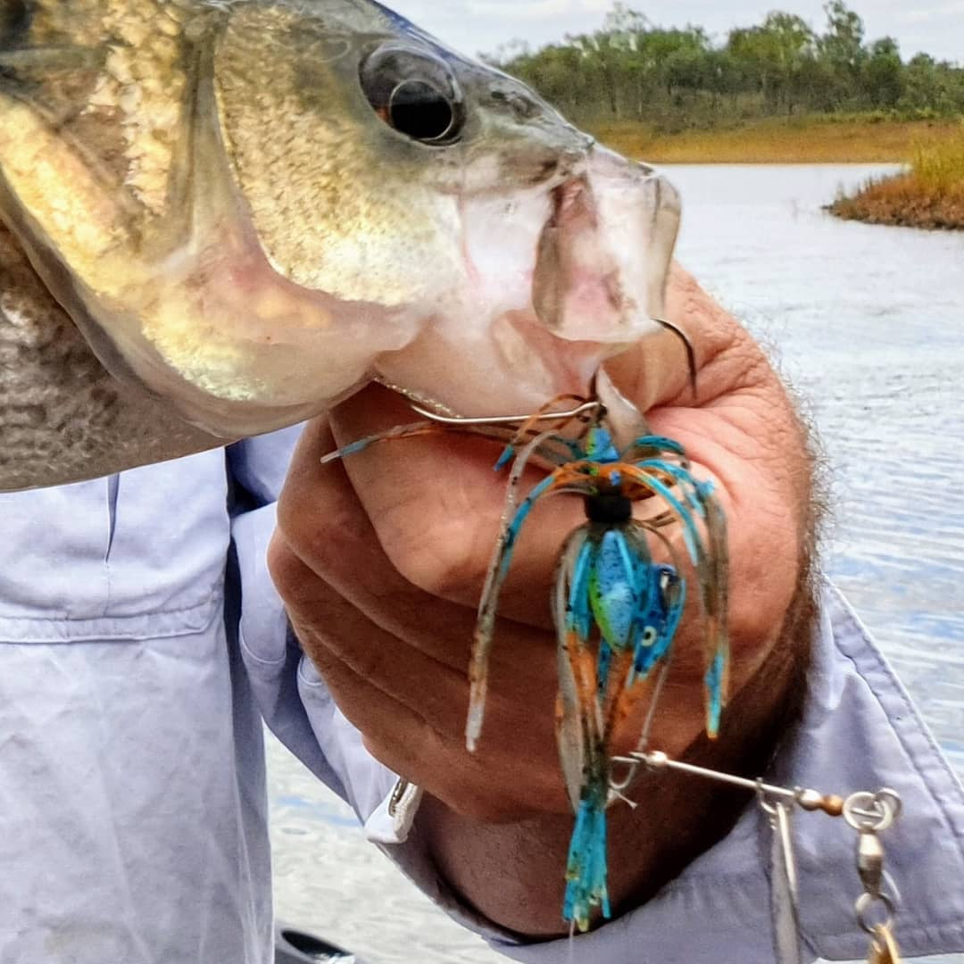 Smak Lures